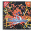 DC Fire Pro Wrestling D [Limited Edition]