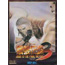 Neo Geo Garou Densetsu 3: Harukanaru Tatakai 
