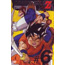 Animation - Dragon Ball Z Vol.6