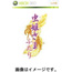 Xbox 360 Mushihimesama Futari Ver 1.5