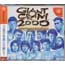 DC Giant Gram 2000 - All Japan Pro Wrestling 3