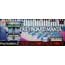 PS2 KeyboardMania Game + Controller Set (Konami Official)